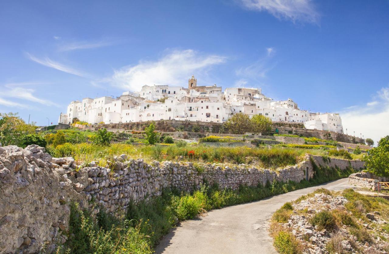 Domus Otium Ostuni - Tiny House Apartment Bagian luar foto