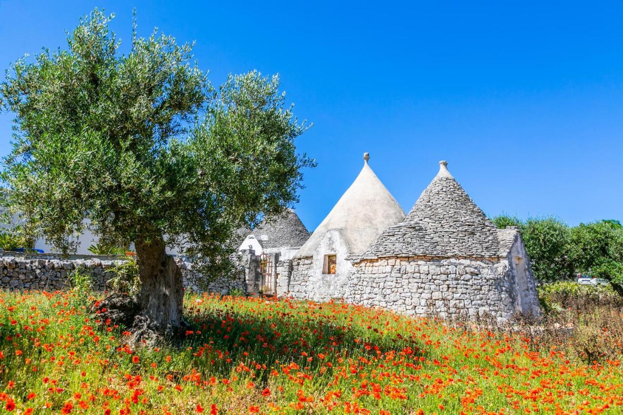 Domus Otium Ostuni - Tiny House Apartment Bagian luar foto